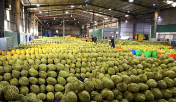 Siết truy xuất nguồn gốc nông sản, Việt Nam tăng tốc chuẩn hóa dữ liệu xuất khẩu