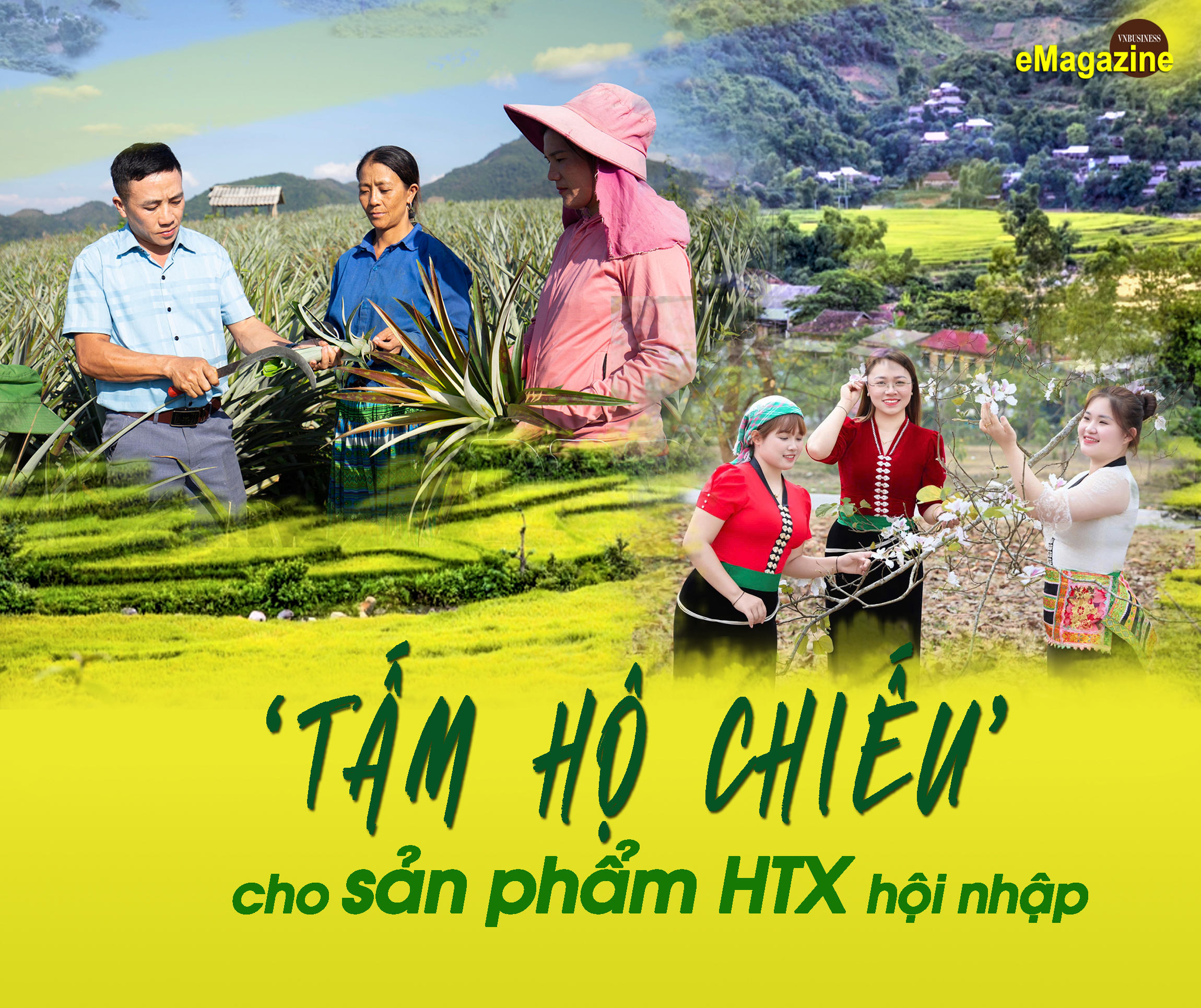‘Tấm hộ chiếu’ cho sản phẩm HTX Điện Biên hội nhập