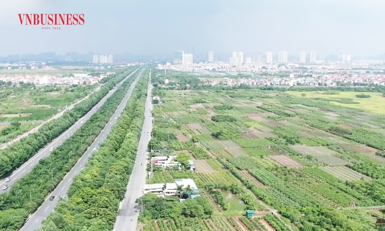 Siết thuế bất động sản: Nhà đầu tư kê khai 2 giá đứng trước rủi ro lớn
