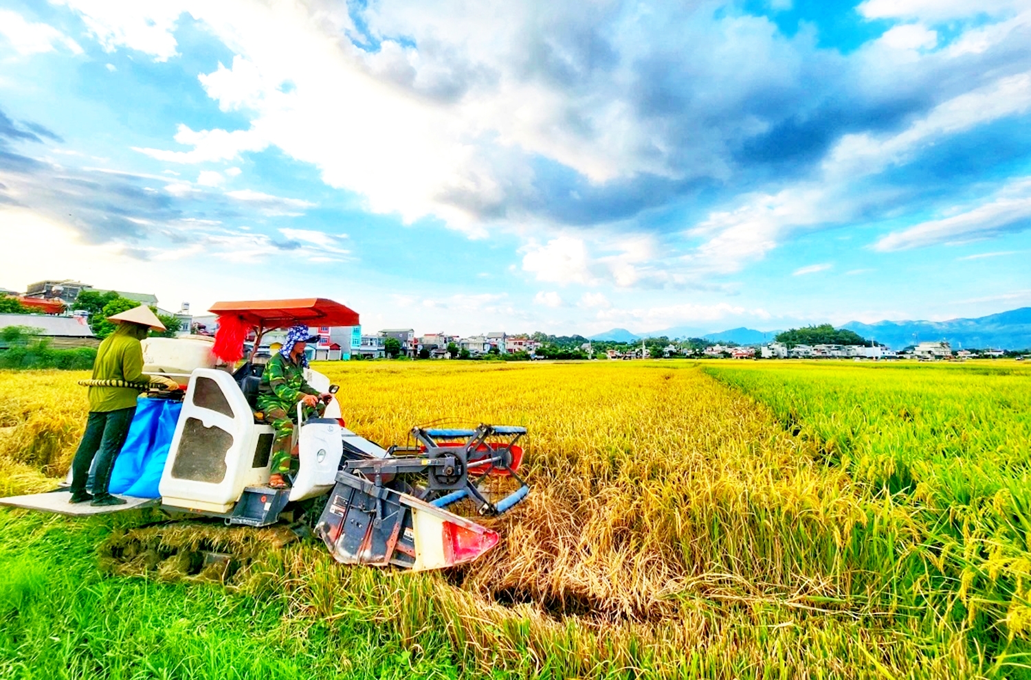 HTX vẫn rất cần các chính sách hỗ trợ trong đào tạo, tư vấn pháp lý về sở hữu trí tuệ, hỗ trợ đăng ký nhãn hiệu, xúc tiến thương mại và chuyển đổi số.