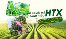 Khi người trẻ đánh thức HTX bằng công nghệ và khát vọng đổi mới