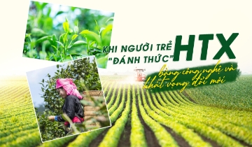Khi người trẻ đánh thức HTX bằng công nghệ và khát vọng đổi mới