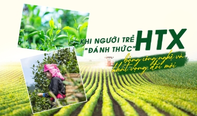Khi người trẻ đánh thức HTX bằng công nghệ và khát vọng đổi mới