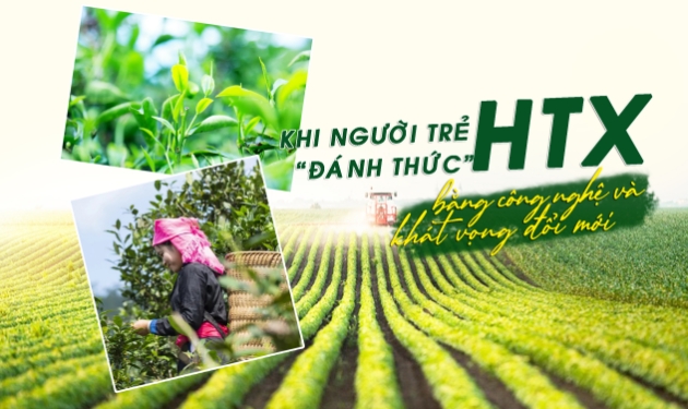 Khi người trẻ đánh thức HTX bằng công nghệ và khát vọng đổi mới