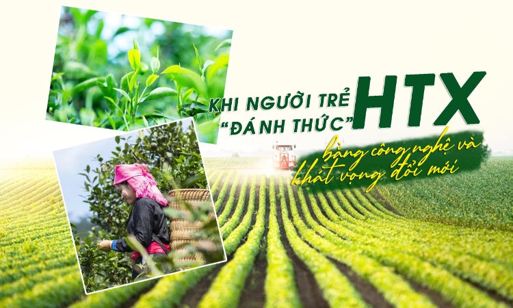 Khi người trẻ đánh thức HTX bằng công nghệ và khát vọng đổi mới