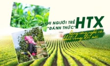 Khi người trẻ đánh thức HTX bằng công nghệ và khát vọng đổi mới