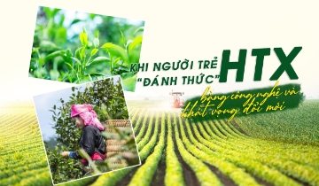 Khi người trẻ đánh thức HTX bằng công nghệ và khát vọng đổi mới