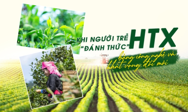 Khi người trẻ đánh thức HTX bằng công nghệ và khát vọng đổi mới