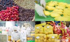 Từ một quốc gia đứng bên bờ nạn đói, Việt Nam hiện đã trở thành top 3 nước xuất khẩu gạo lớn nhất thế giới...