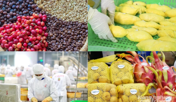 Từ “Khoán 10” đến kỳ tích đưa nông sản Việt ra thế giới
