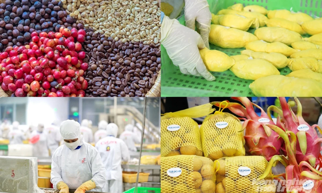Từ một quốc gia đứng bên bờ nạn đói, Việt Nam hiện đã trở thành top 3 nước xuất khẩu gạo lớn nhất thế giới...