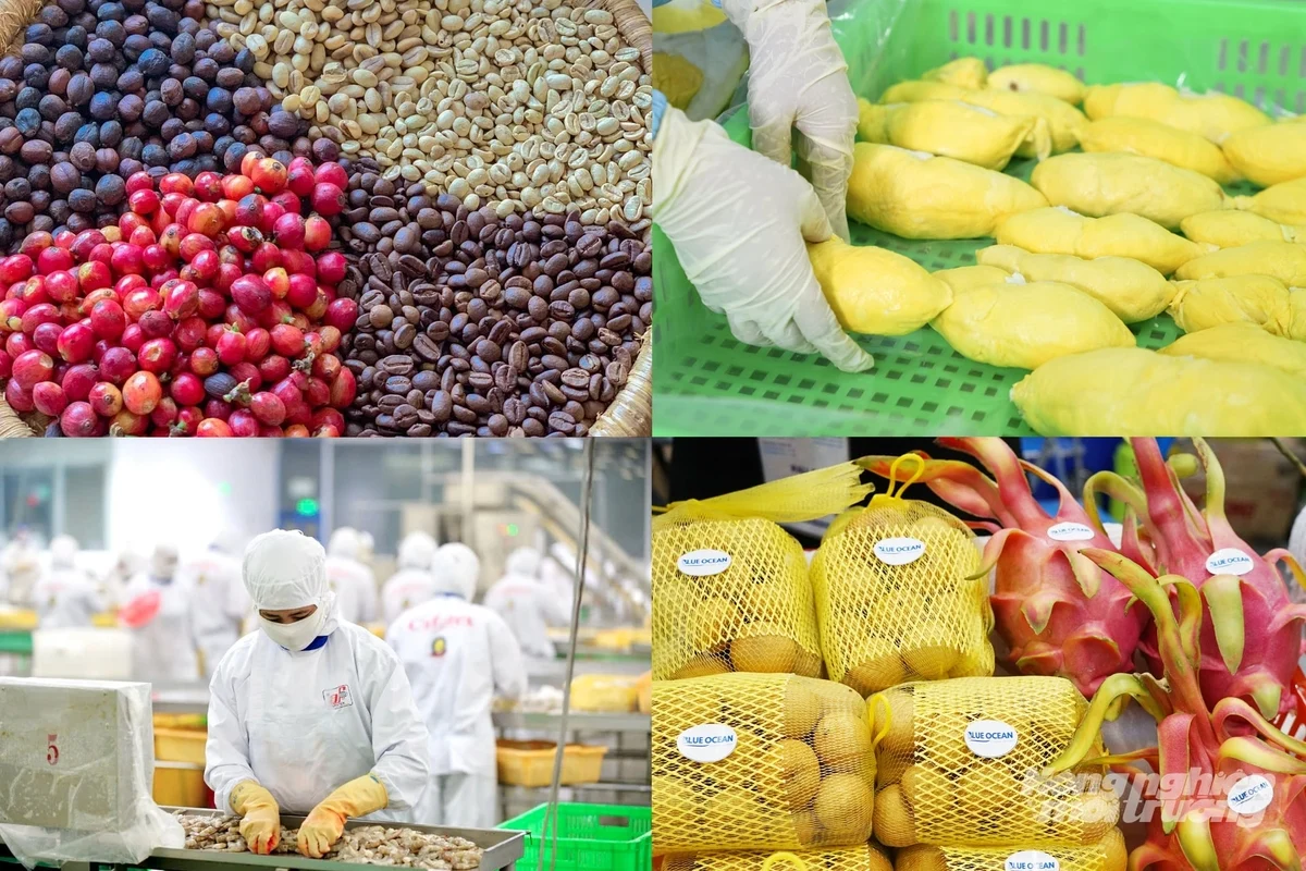 Từ một quốc gia đứng bên bờ nạn đói, Việt Nam hiện đã trở thành top 3 nước xuất khẩu gạo lớn nhất thế giới...