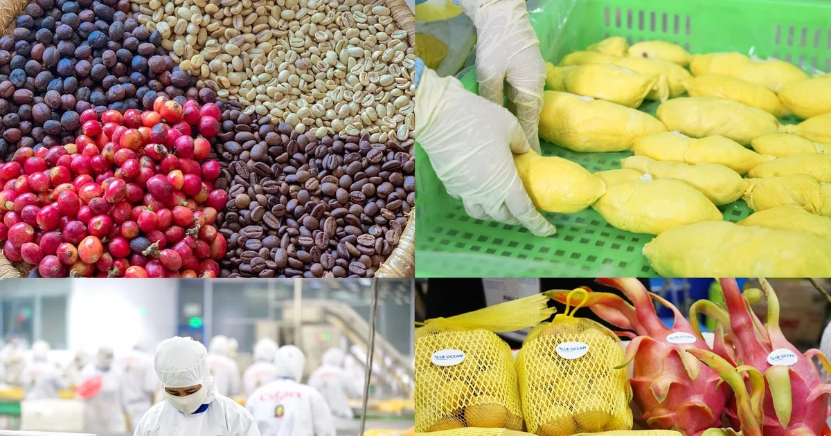 Kỳ tích nông nghiệp Việt Nam: Xuất khẩu 70 tỷ USD