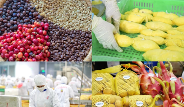 Từ “Khoán 10” đến kỳ tích đưa nông sản Việt ra thế giới