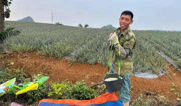 Hạ nhiệt giá phân bón: Lời giải từ chính sách thuế và chuỗi liên kết