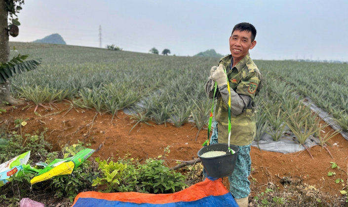 Hạ nhiệt giá phân bón: Lời giải từ chính sách thuế và chuỗi liên kết
