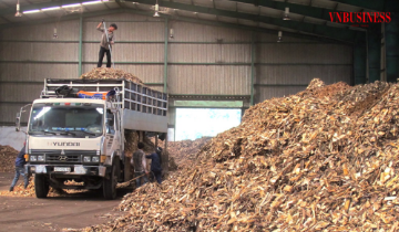 Xăng E10 mở chuỗi giá trị mới cho nông nghiệp Việt