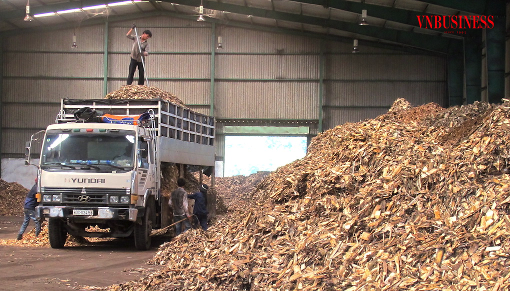 Nhu cầu sắn cho sản xuất ethanol được ước tính khoảng 4 đến 5,5 triệu tấn mỗi năm.