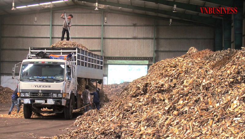 Nhu cầu sắn cho sản xuất ethanol được ước tính khoảng 4 đến 5,5 triệu tấn mỗi năm.