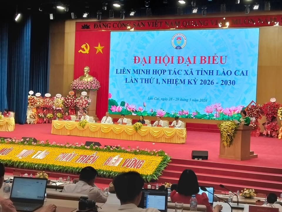 Đại hội Đại hội Liên minh HTX tỉnh lần thứ I, nhiệm kỳ 2026-2030 là dấu mốc quan trọng của khu vực kinh tế tập thể tỉnh.