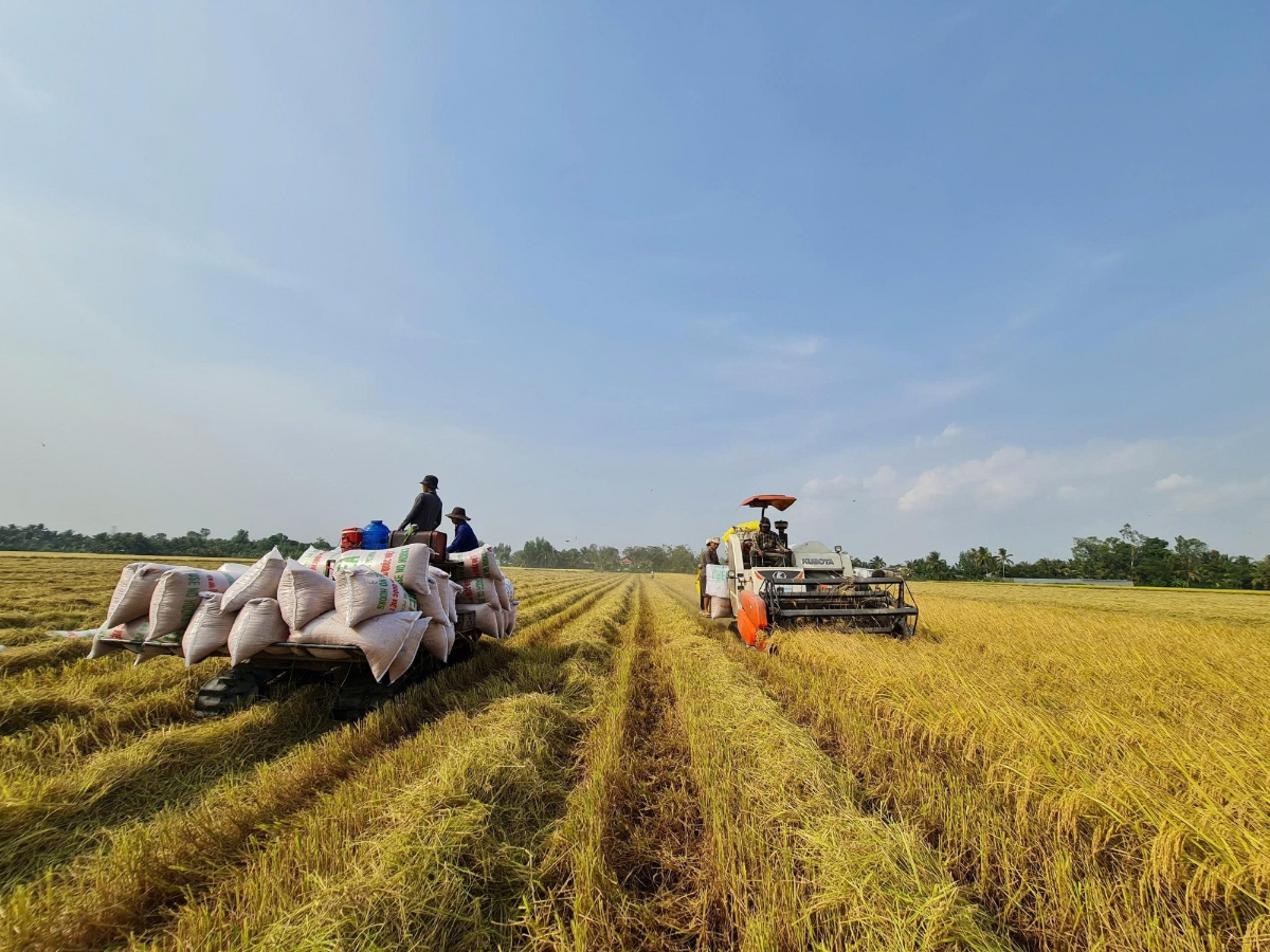 Chuyển đổi xanh trong nông nghiệp chính là từng bước chuyển sang tư duy tuần hoàn, rơm rạ không còn bị đốt bỏ, phụ phẩm trở thành nguyên liệu chế biến sâu.
