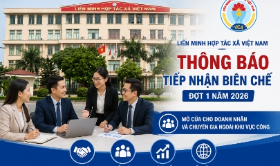 VnBusiness