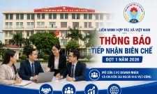 VnBusiness