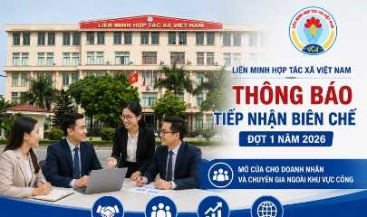VnBusiness