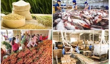 Xuất khẩu nông, lâm, thủy sản bứt tốc, 5 tháng đầu năm đạt gần 31 tỷ USD