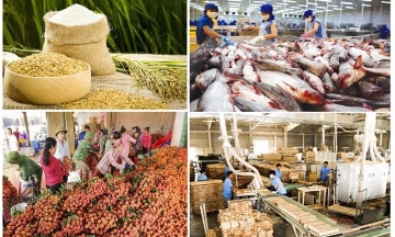 Xuất khẩu nông lâm thuỷ sản 5 tháng đầu năm 2026 tăng trưởng 9,2% so với cùng kỳ năm trước.