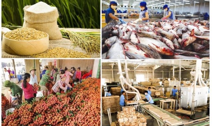 Xuất khẩu nông lâm thuỷ sản 5 tháng đầu năm 2026 tăng trưởng 9,2% so với cùng kỳ năm trước.