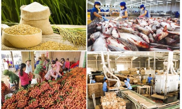 Xuất khẩu nông, lâm, thủy sản bứt tốc, 5 tháng đầu năm đạt gần 31 tỷ USD