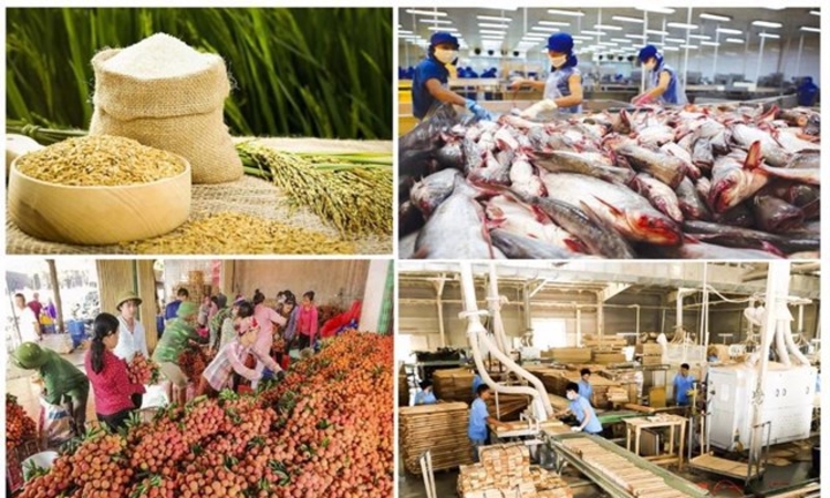 Xuất khẩu nông, lâm, thủy sản bứt tốc, 5 tháng đầu năm đạt gần 31 tỷ USD