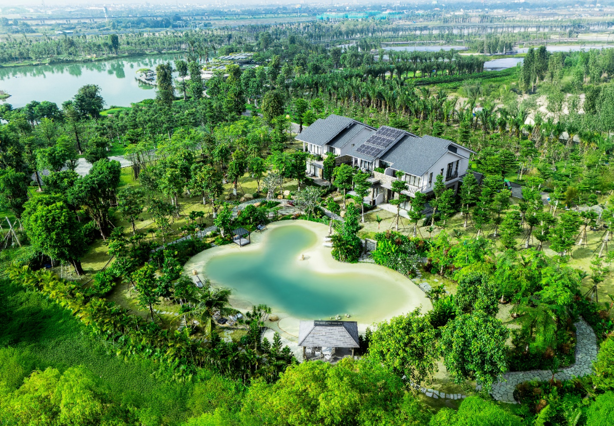 Không gian sống xanh tại khu rừng Eco Retreat.