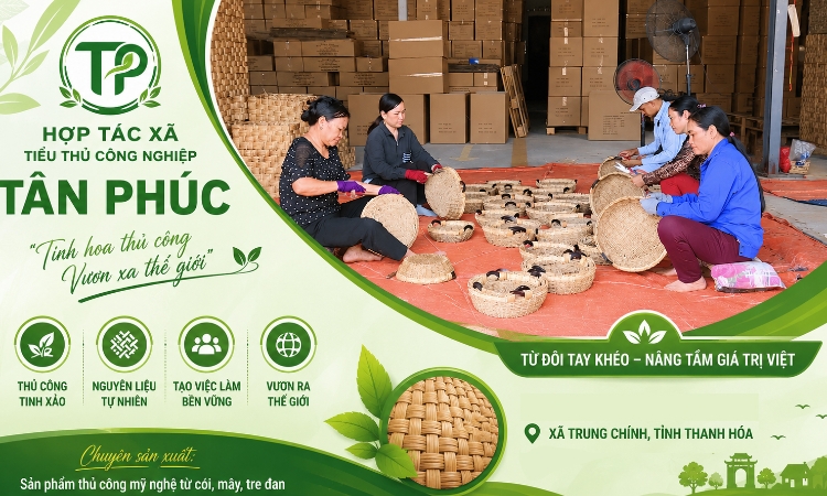 Hành trình vươn xa của HTX Tân Phúc từ sợi cói quê hương