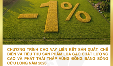 Gói vay ưu đãi hấp dẫn dành cho nông dân Đồng bằng sông Cửu Long