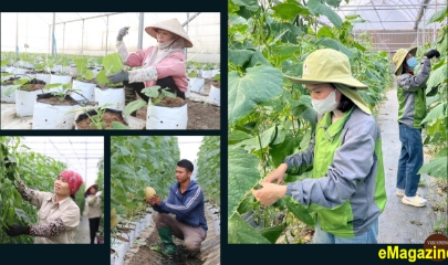 HTX cất cánh nhờ thương hiệu số và sở hữu trí tuệ