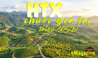 Từ sản xuất nhỏ lẻ đến chuỗi giá trị triệu đô: Câu chuyện HTX ở Nà Sản