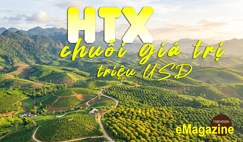Từ sản xuất nhỏ lẻ đến chuỗi giá trị triệu đô: Câu chuyện HTX ở Nà Sản