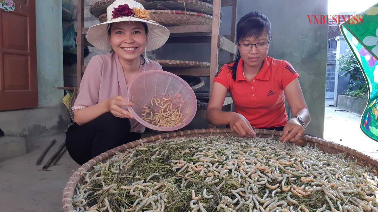 Phóng viên (bên trái) trong một lần tìm hiểu, viết bài về mô hình trồng dâu nuôi tằm.
