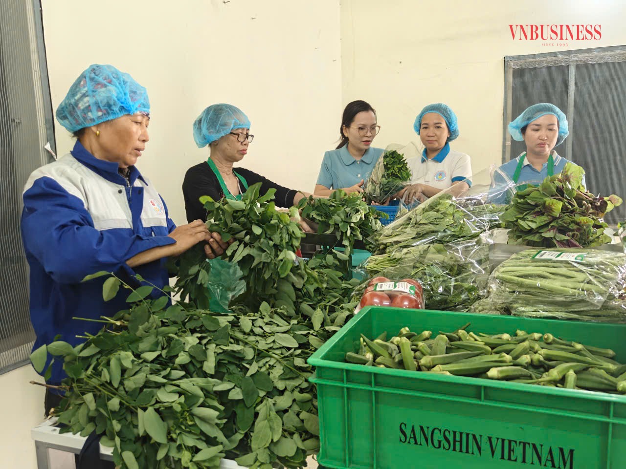 Chị Hằng (người mặc áo trắng) đang kể cho phóng viên nghe về video của HTX sau 5 ngày đăng đã được lên xu hướng đạt hơn 1 triệu lượt xem.