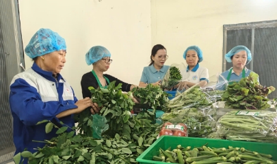 HTX Thắng Thủy đã trở thành bà đỡ cho cho những nông sản tại địa phương.