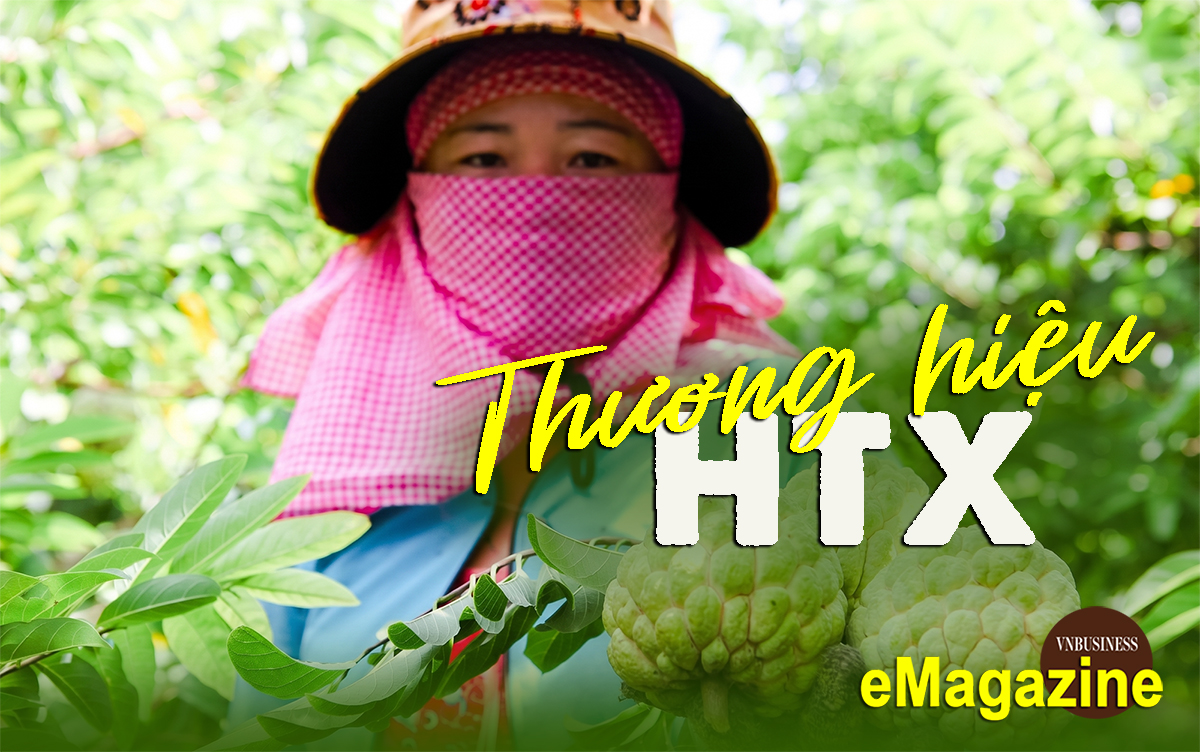Chuyện xây dựng thương hiệu của các HTX trên phố Núi