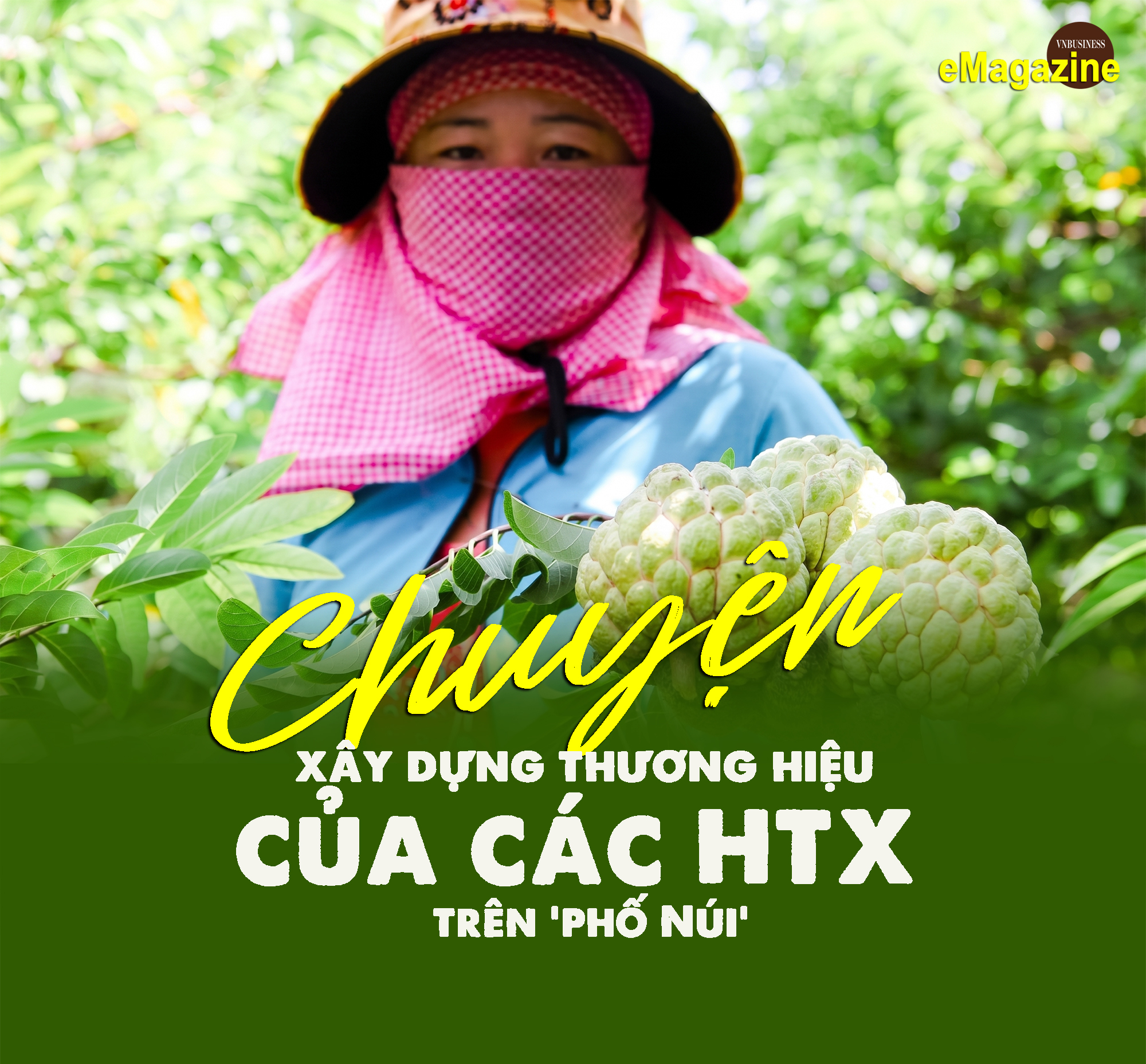 Chuyện xây dựng thương hiệu của các HTX trên Phố Núi