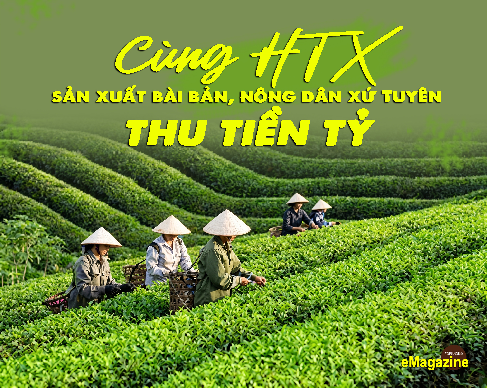 Cùng HTX làm ăn bài bản, nông dân xứ Tuyên tự tin thu tiền tỷ