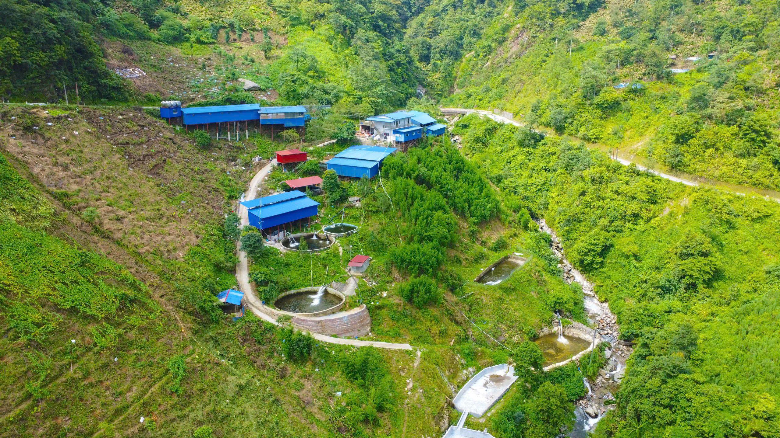 Nhiều bản làng, vùng đất còn không ít khó khăn, chỉ được biết đến thông qua những chuyến đi thực địa của phóng viên. Mỗi khuôn hình đều chứa đựng nỗ lực tiếp cận hiện trường và trách nhiệm phản ánh đời sống xã hội.