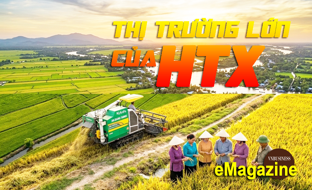 Nông sản chinh phục thị trường lớn nhìn từ ‘cú bứt tốc’ của HTX ở An Giang