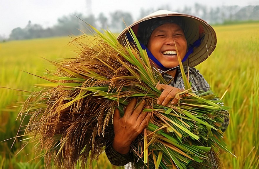 VnBusiness