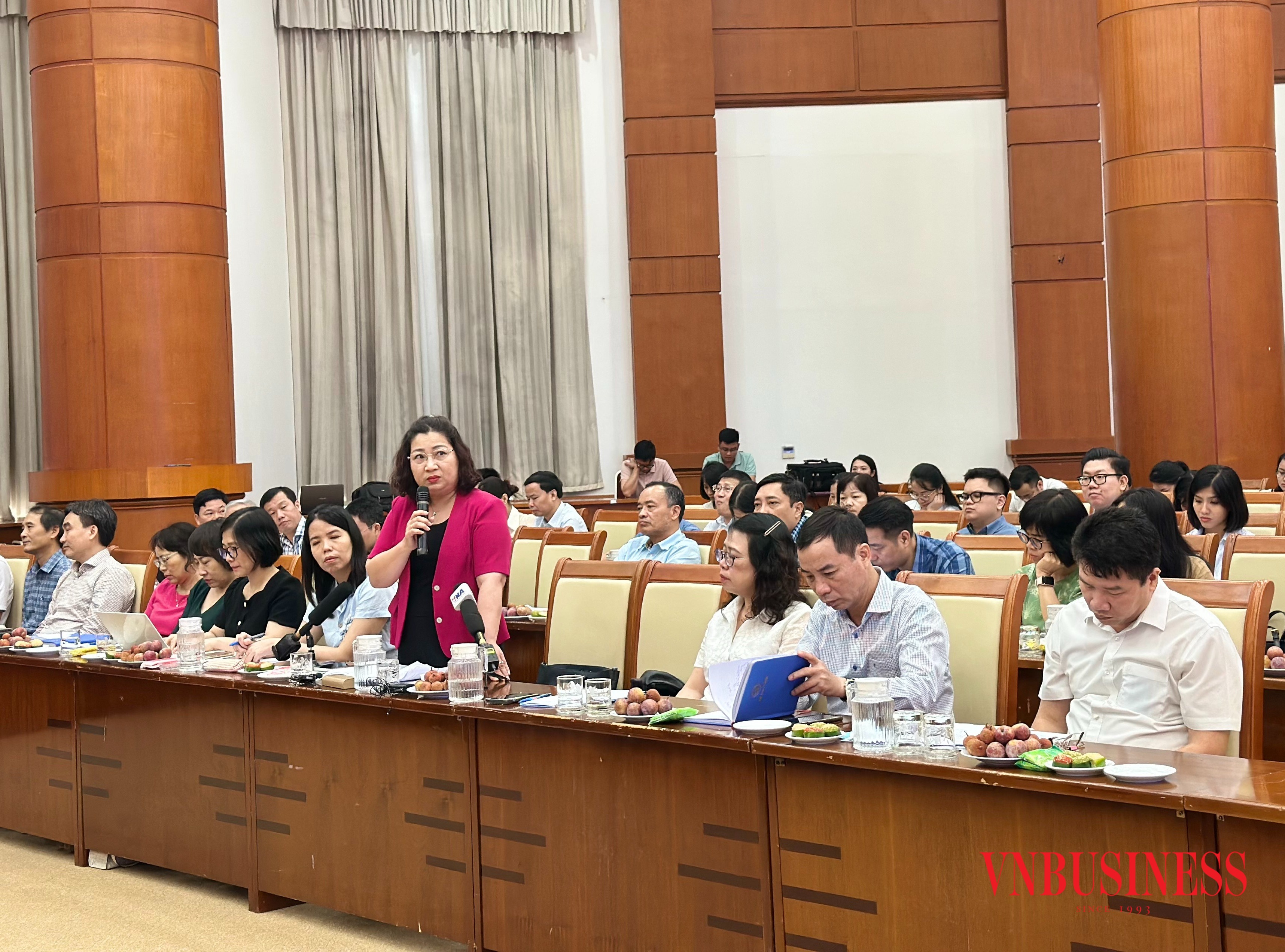 Bà Lê Thị Tường Thu, Phó Cục trưởng Cục Thống kê