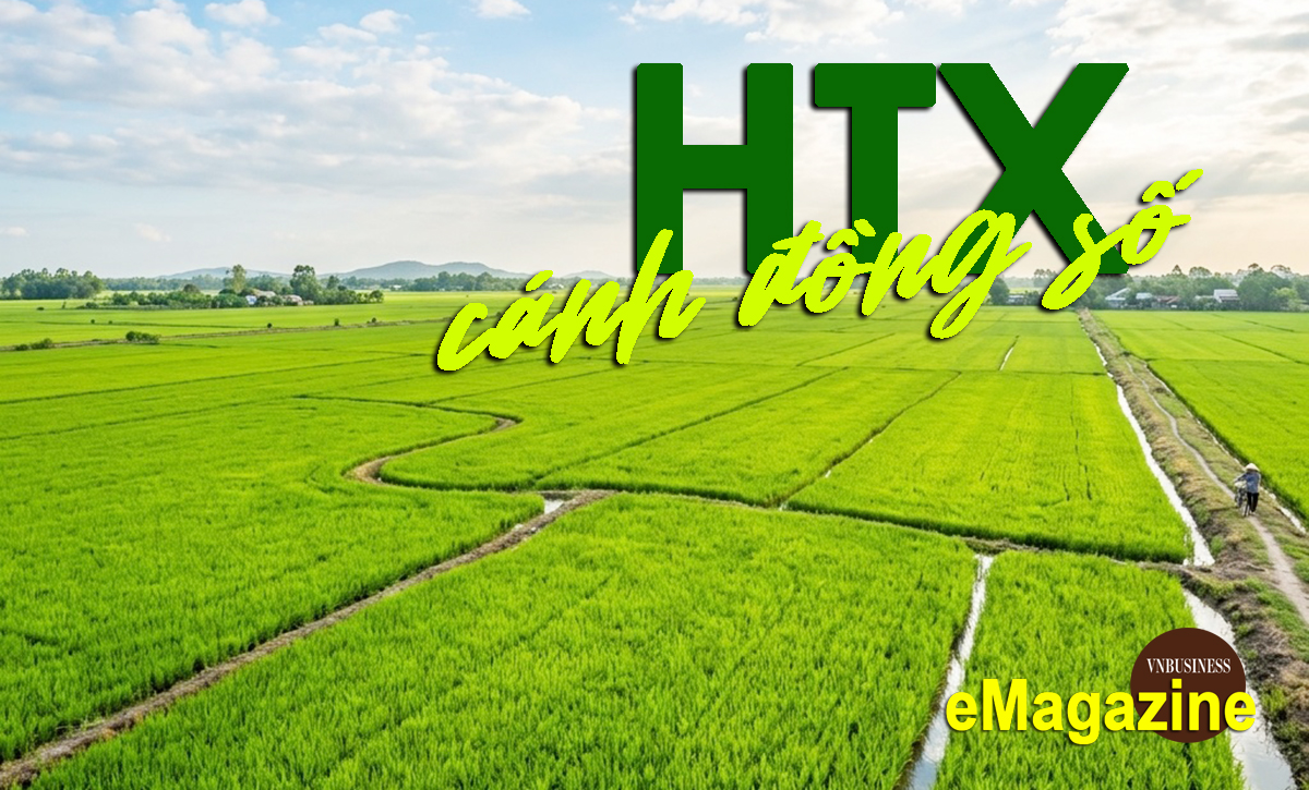 Từ cánh đồng số đến thương hiệu số ở Đồng Tháp